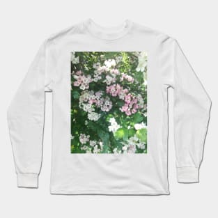 Pink hawthorns photograph Long Sleeve T-Shirt